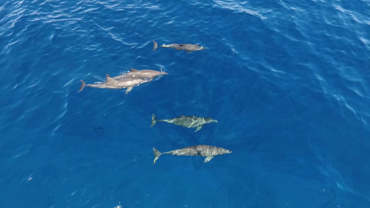 White Tern Maldives Ξενοδοχείο Maamigili Εξωτερικό φωτογραφία